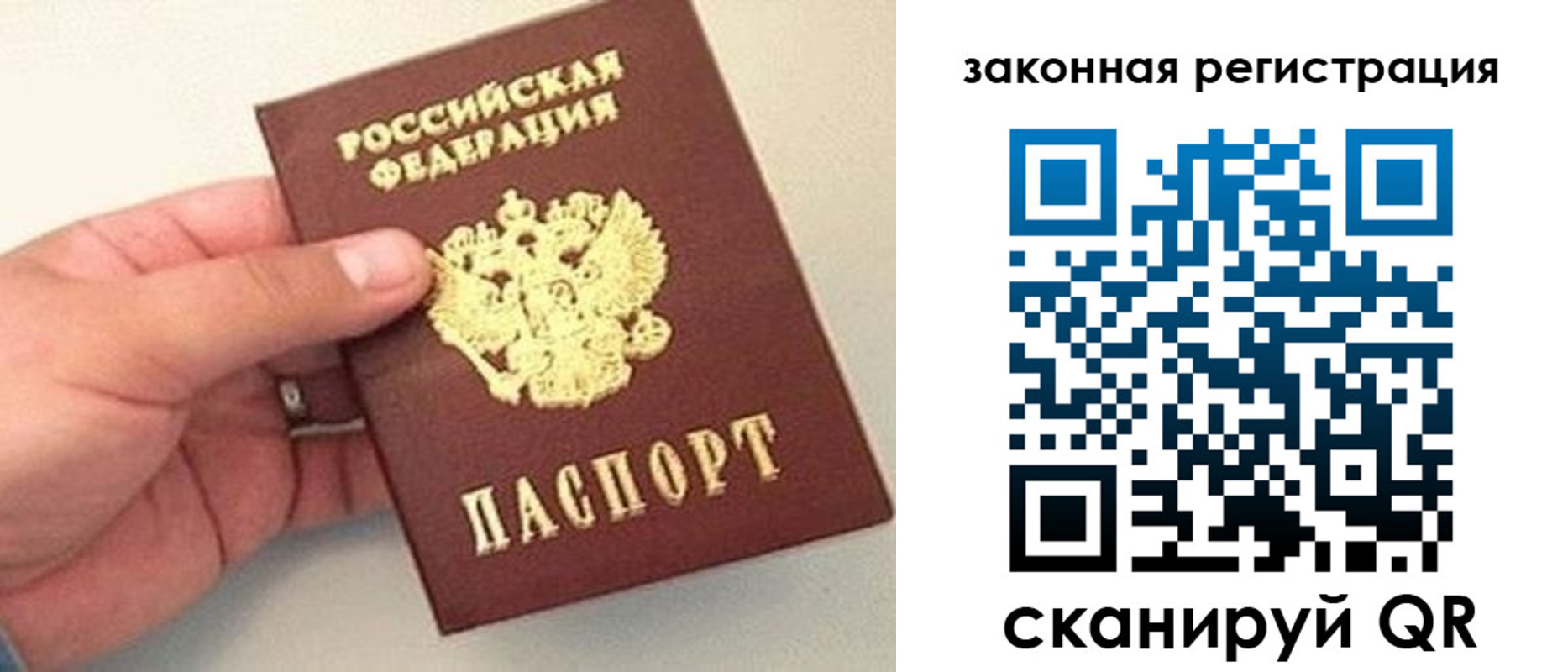 прописка для школы в Чехове